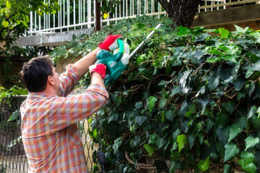 Ratschläge für die Gartenarbeit